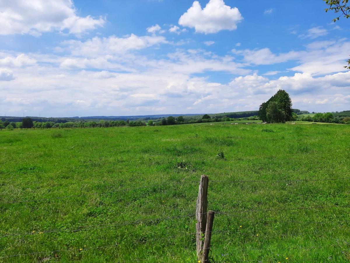 Very Spacious House With Sauna Spa And Countryside Views Gouvy Exteriör bild